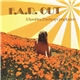 Various - F​.​A​.​R. Out (A Sunshine/Psychpop Compilation)